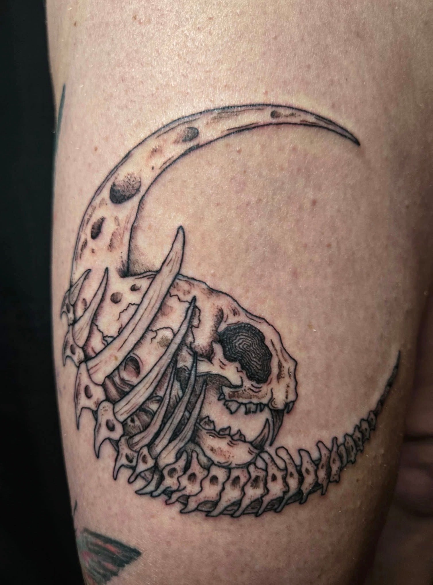 Full Day Tattoo Session